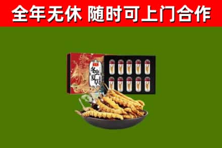 永兴县回收冬虫夏草价格
